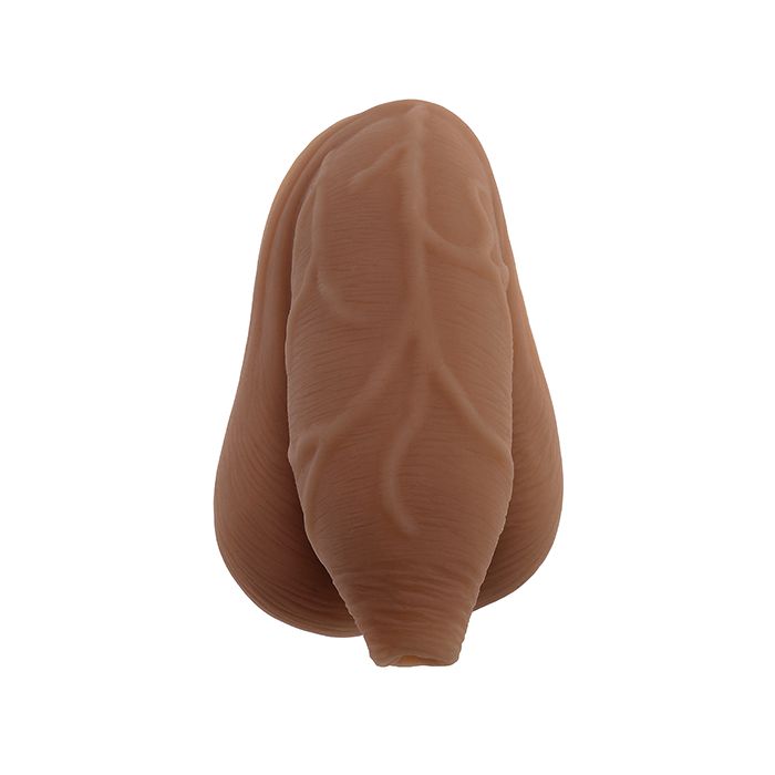 Gender X The Uncircumcised Packer